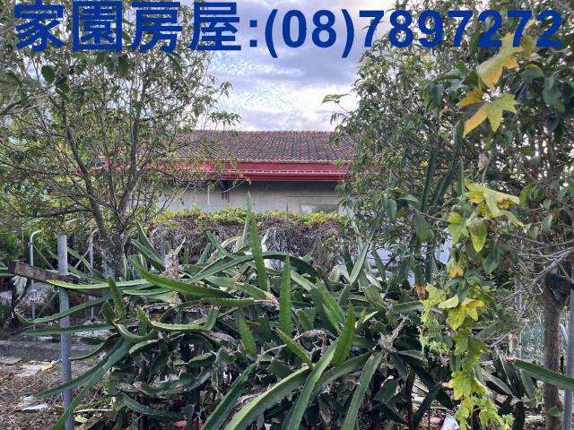 屏東萬丹農舍-2