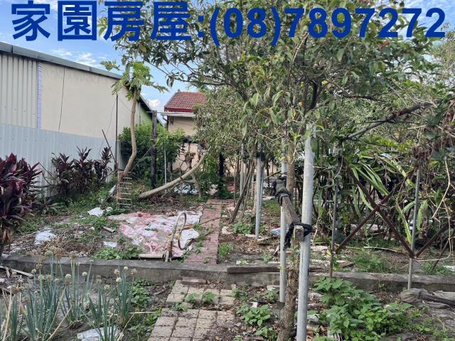 屏東萬丹農舍-3