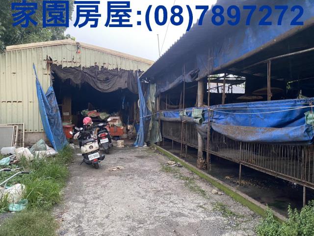 內埔合法豬舍-1