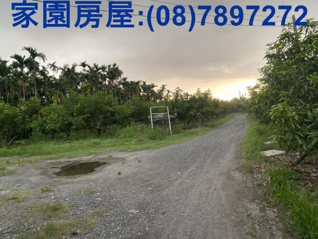內埔合法豬舍-2