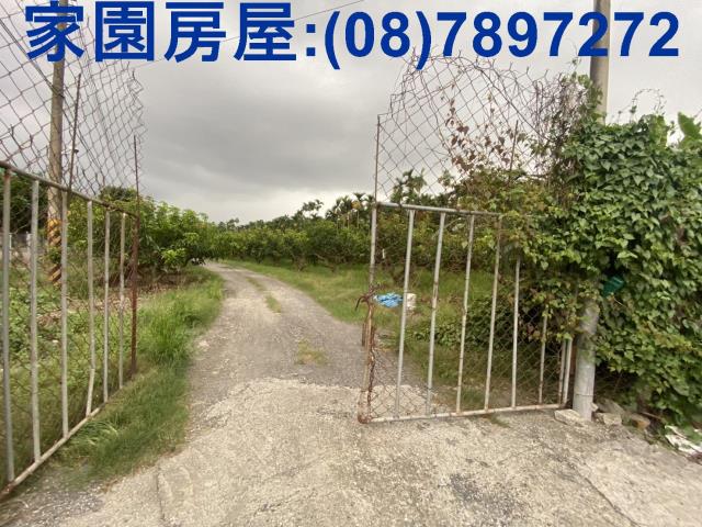 內埔合法豬舍-0