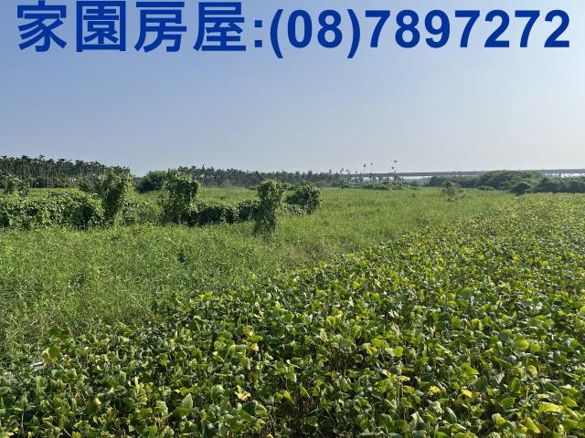 屏東潮州農地-0