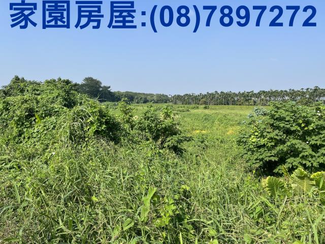 屏東潮州農地-4