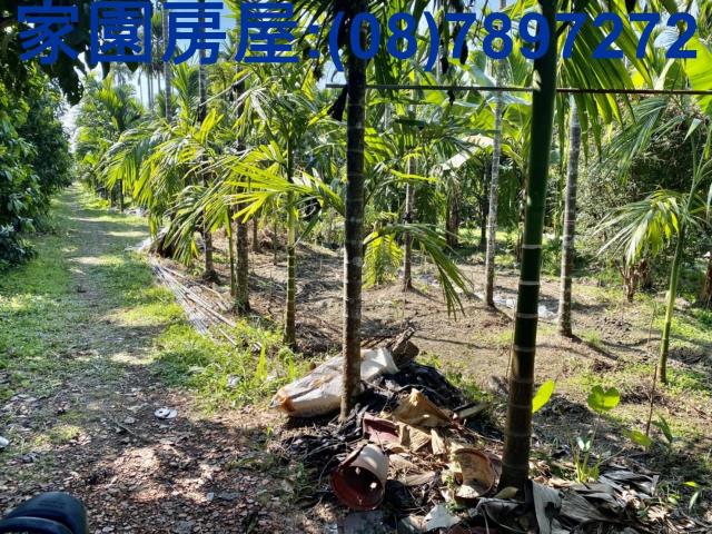 萬巒農地-0