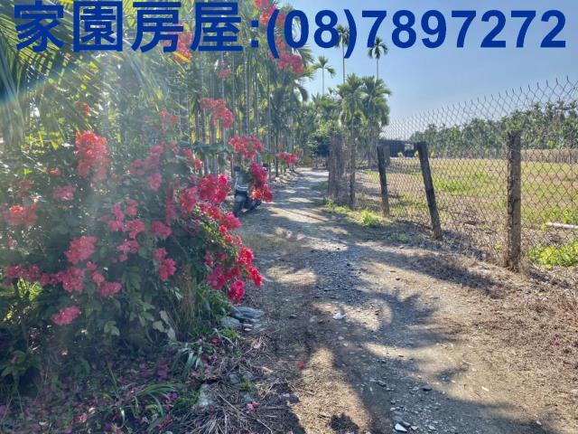 萬巒農地-2