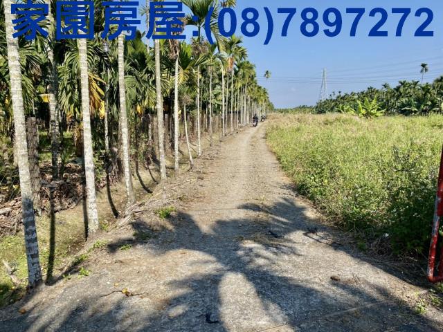 萬巒農地-4