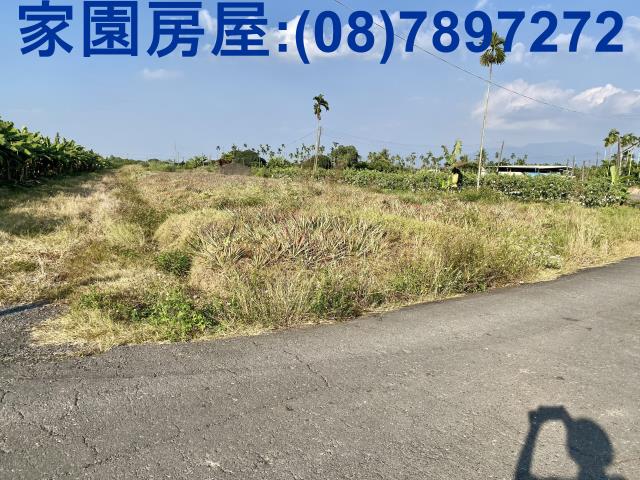潮州農地-2