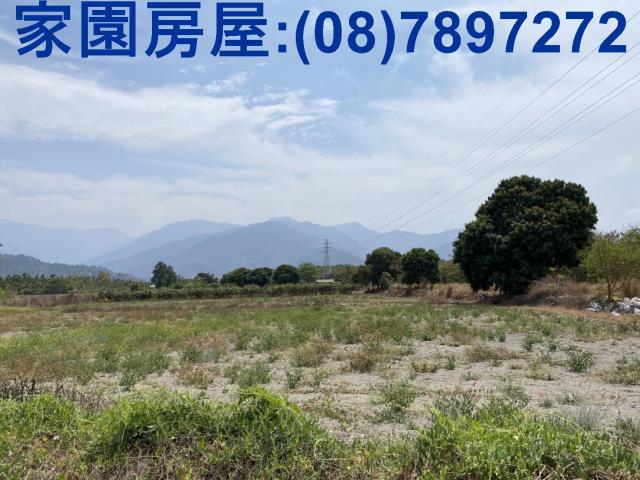 潮州農地-4