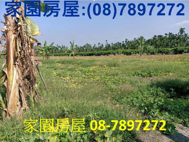 屏東南州農地-10