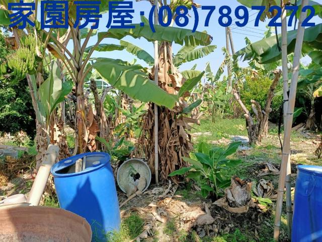 屏東南州農地-4