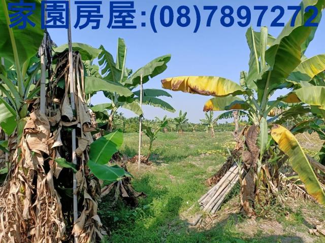 屏東南州農地-5