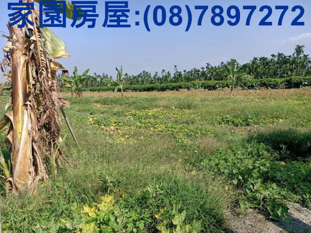屏東南州農地-6