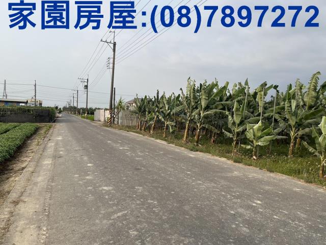 萬丹農地-2