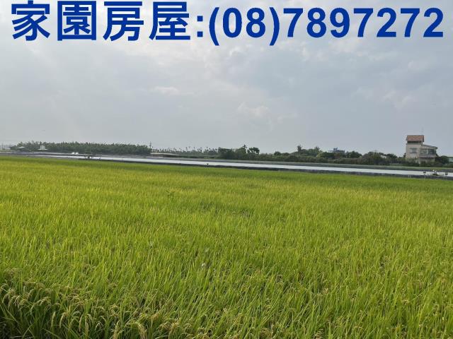 屏東萬丹農地-2