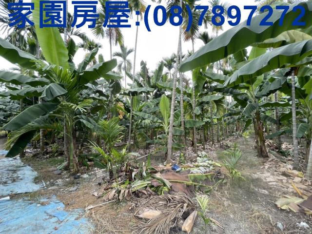潮州農地-2