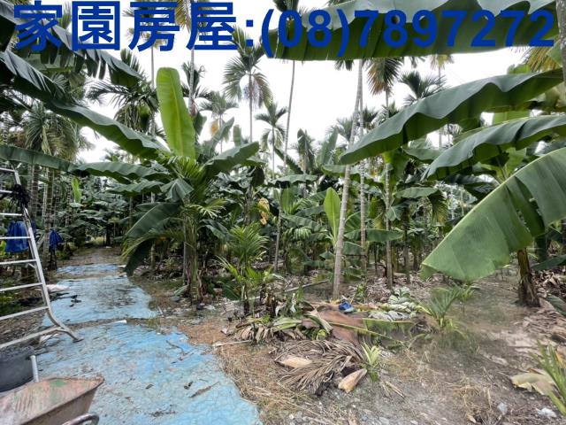 潮州農地-3