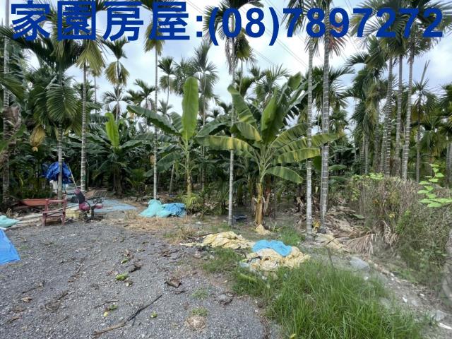潮州農地-4