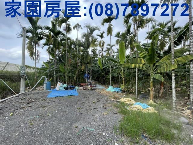 潮州農地-5