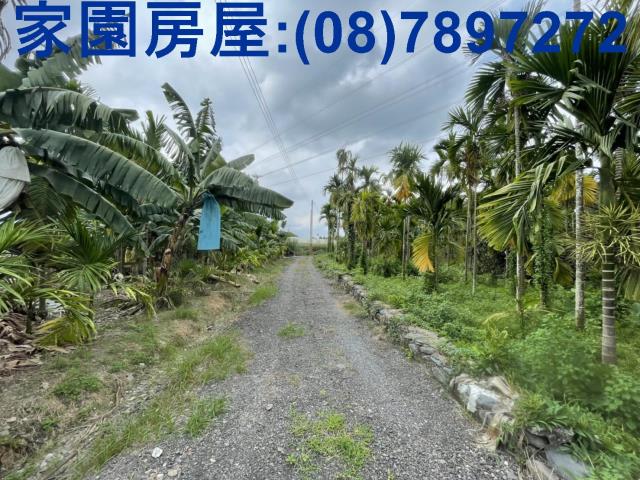 潮州農地-0
