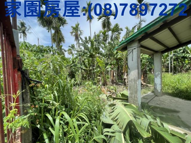 屏東內埔農地-1