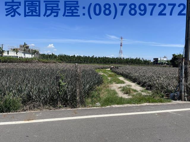 屏東潮州農地-4