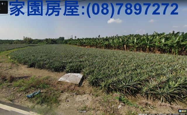 萬巒農地-3