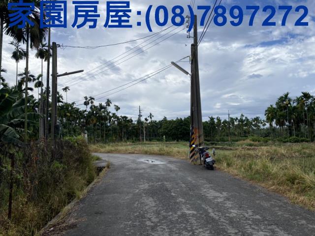 屏東竹田農地-2