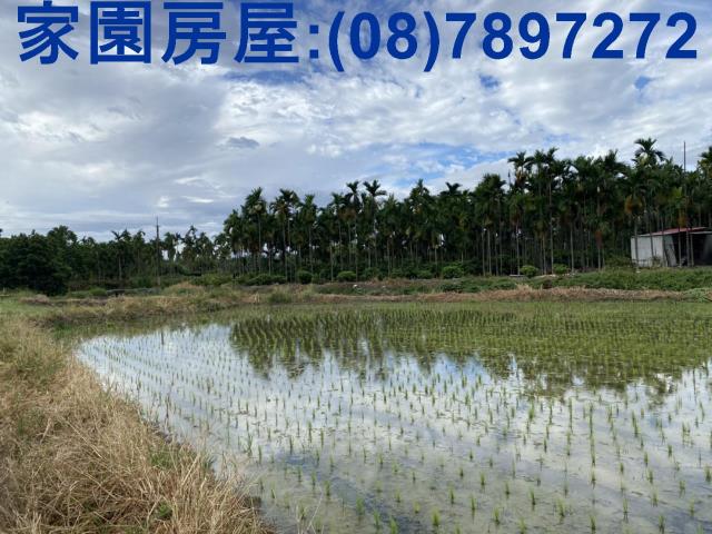 屏東竹田農地-3