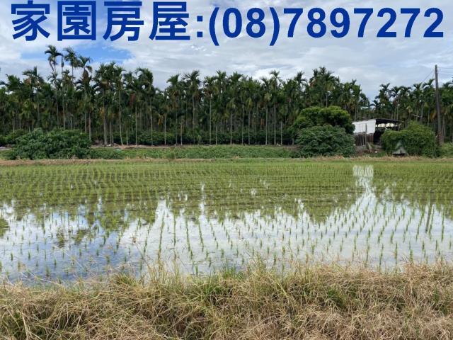 屏東竹田農地-4