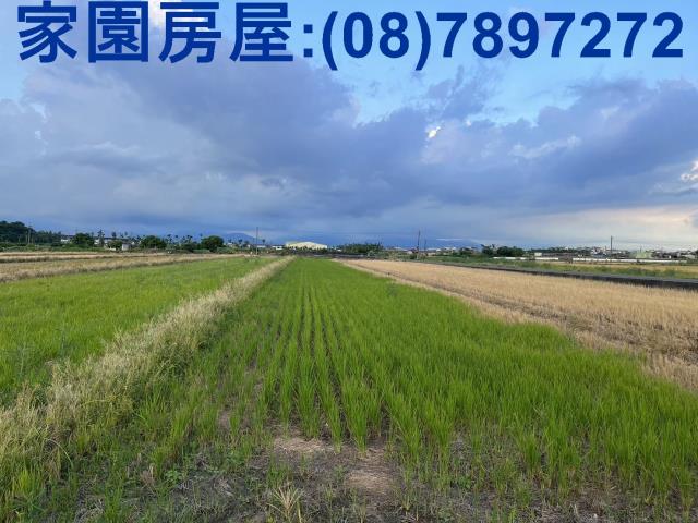 屏東農地-0