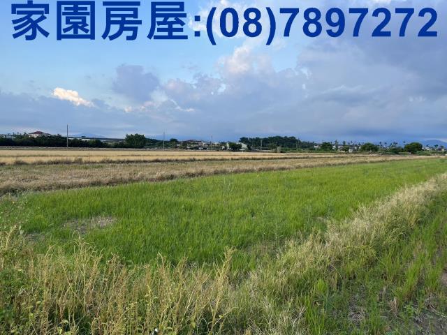 屏東農地-2