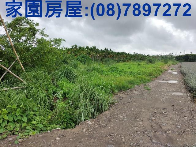 屏東屏東市農地-0