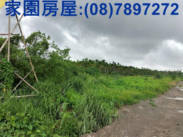 屏東屏東市農地-1