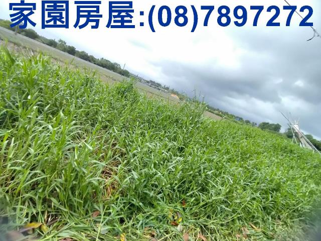 屏東潮州農地-0