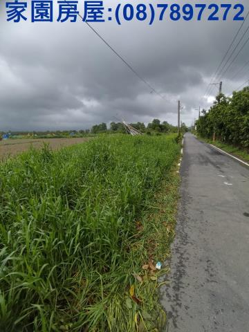 屏東潮州農地-1