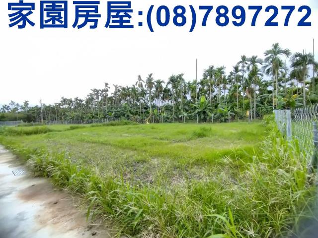 萬巒農地-1