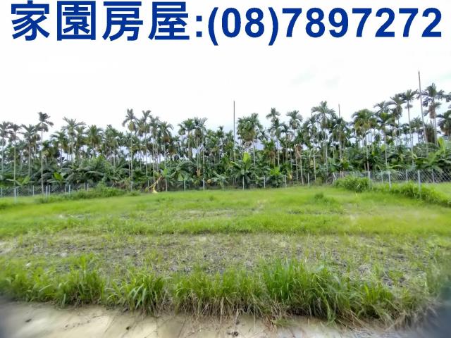 萬巒農地-2