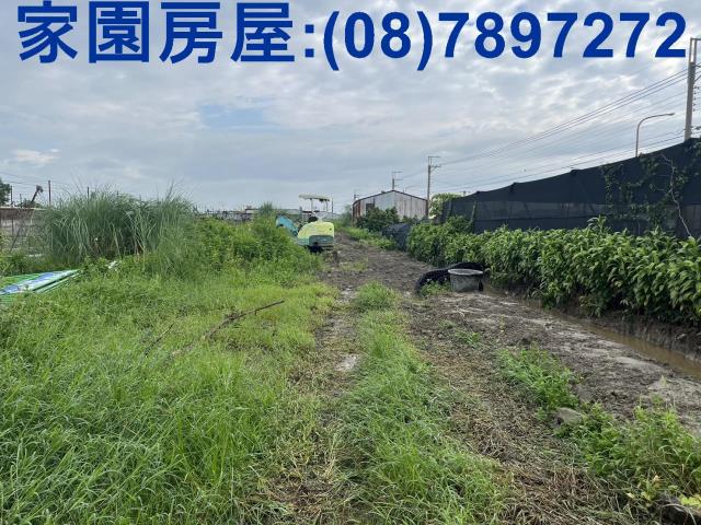 萬丹農地-0