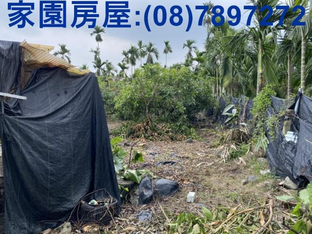 萬巒農地-2