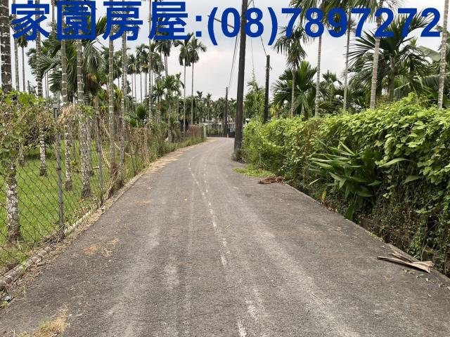 屏東竹田農地-3