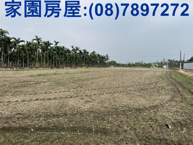 潮州農地-1