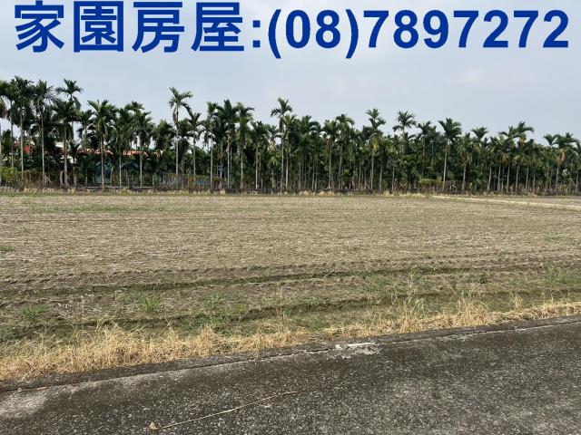 潮州農地-0