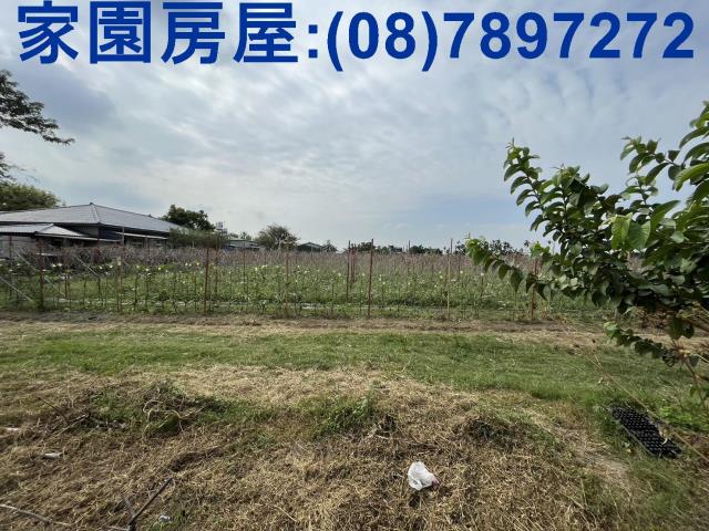 屏東潮州農地-1