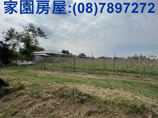 屏東潮州農地-2