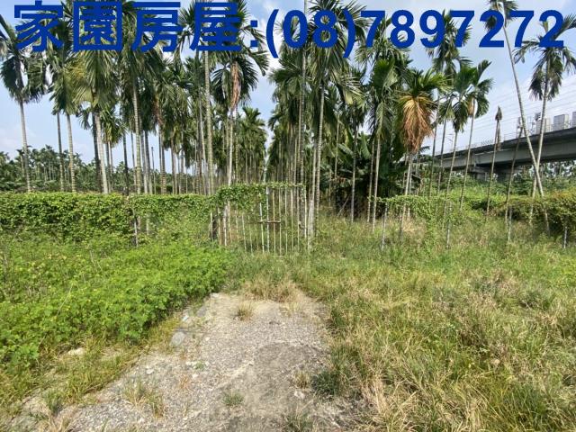 屏東竹田農地-3