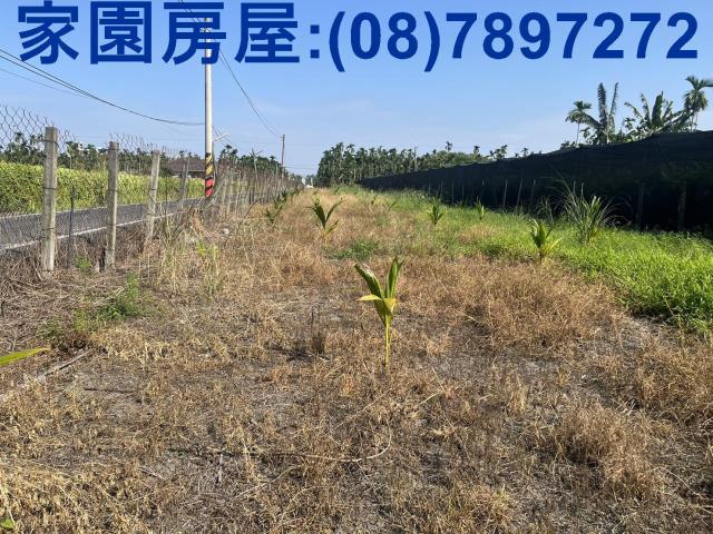 屏東竹田農地-1