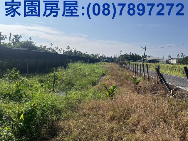 屏東竹田農地-2