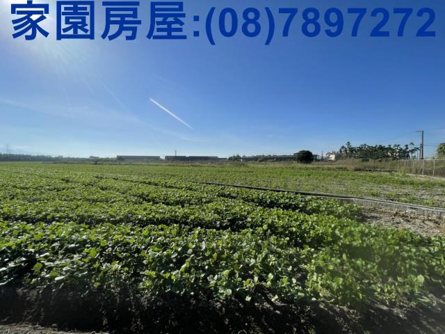 屏東農地-0
