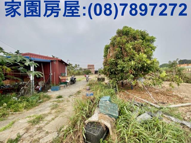 屏東潮州農地-5