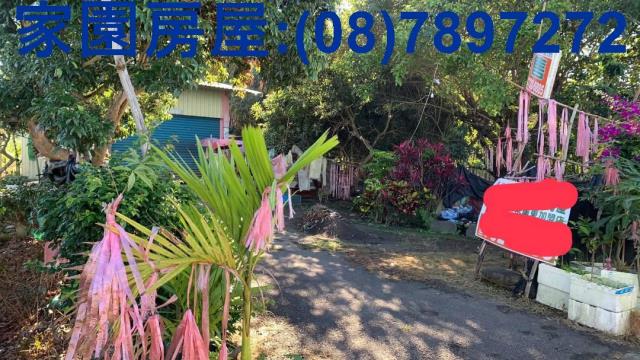 屏東高樹農地-11